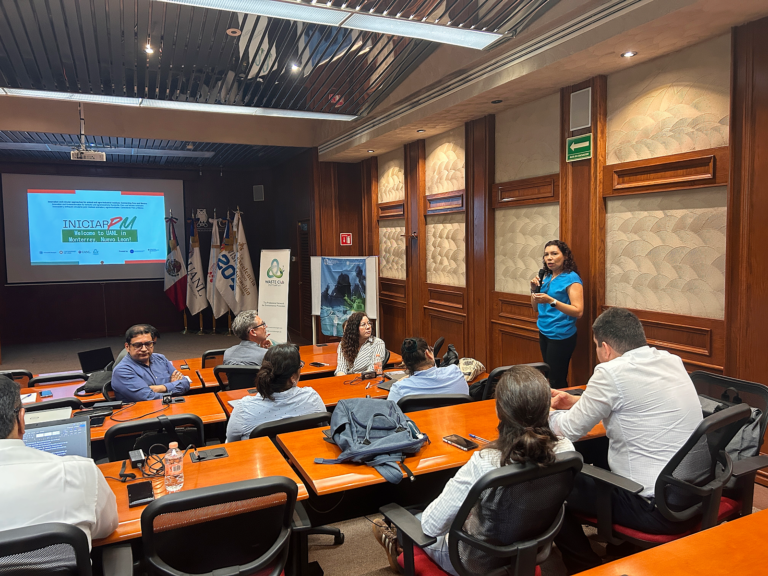 Workshop at UANL